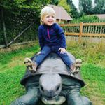 Profile Picture of Kirsten Van Overloop (@kirstenvanoverloop) on Instagram