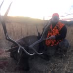 Profile Picture of Joseph Bierfreund (@Joseph-Bierfreund) on Facebook