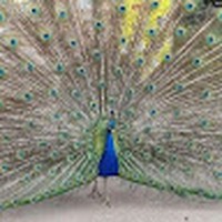 Profile Picture of Amber Larkin (@amber-larkin-30) on Quora