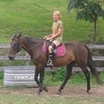 Profile Picture of Julie Chaffee (@harmonyhorsestable) on Instagram