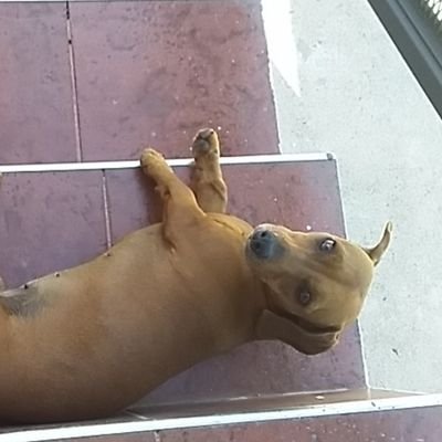 Profile Picture of Benjamin Chacon (@Benjami58660137) on Twitter