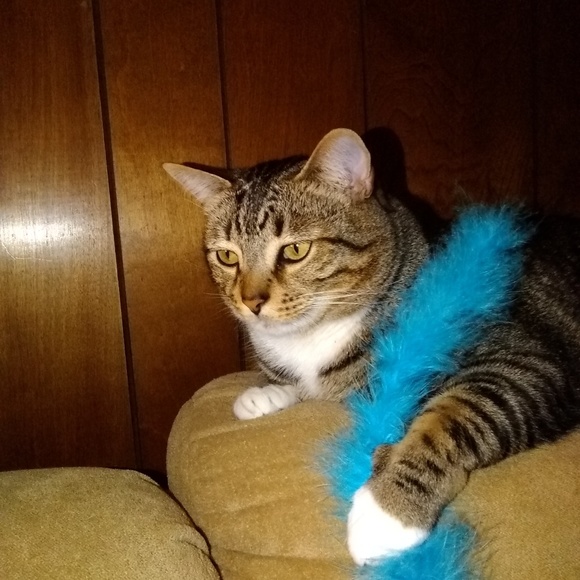 Profile Picture of Dawn Beverly (@beverlydawnn) on Poshmark