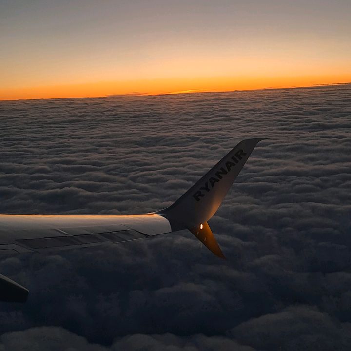 david úr g🥵🙃 - Tiktok Profile Picture of david úr g🥵🙃 (@david.gutmanis) on Tiktok