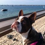 Profile Picture of Miss Ruby Boss (@missrubyboss) on Instagram