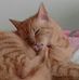 Profile Picture of Arnold Shapiro (@arnold.shapiro.9) on Facebook