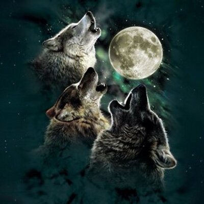 Profile Picture of Pineau Jean (@JeanPineau) on Twitter