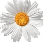 Profile Picture of Kim DeBoe (@kim.deboe.9) on Facebook