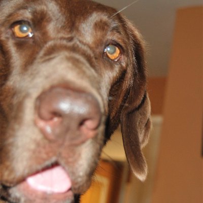 Profile Picture of Andy Petti (@AndPetti) on Twitter
