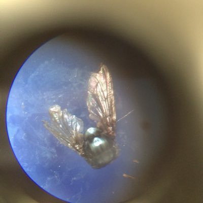 Profile Picture of Ron Webb (@ronwebb123) on Twitter