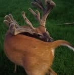 Profile Picture of Jesse Conley (@jesse.conley.947328) on Facebook