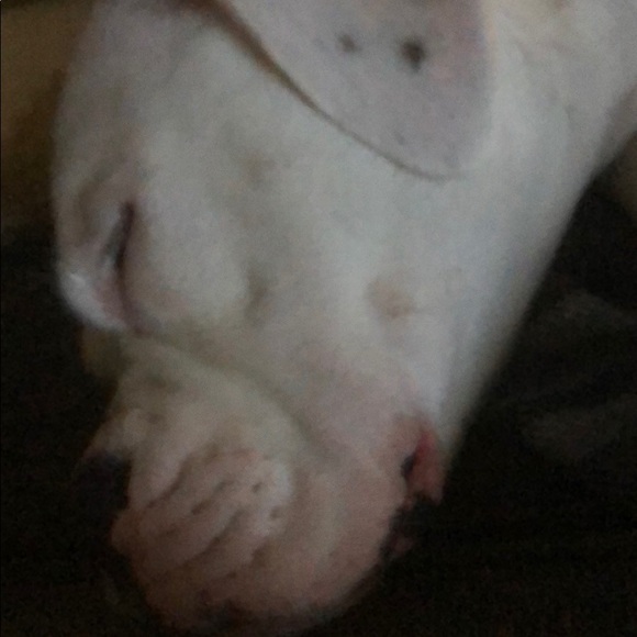 Profile Picture of Adam Prichard (@adam_prichard) on Poshmark