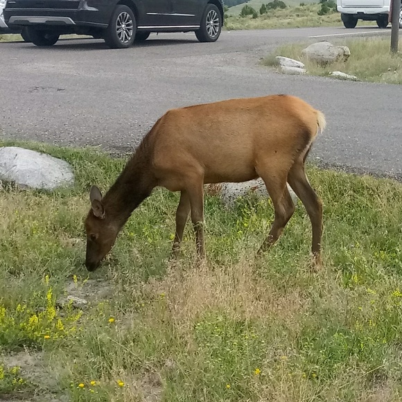 Profile Picture of Josh Vanderzwaag (@jvanderzwaag23) on Poshmark