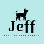Profile Picture of Refugio Para Perros Jeff (@jeffrefugio) on Instagram