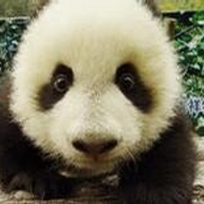 Profile Picture of 8jay Su (@sym8jay) on Twitter