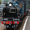 Profile Picture of seanesheep (@seanesheep) on Flickr