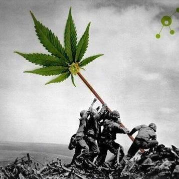 Mike Sarracino - Twitter Profile Picture of Mike Sarracino (@Loves_skrillexs) on Twitter