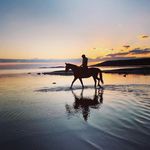 Profile Picture of Ida Finn-Melander (@idasfm) on Instagram