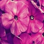 Profile Picture of Aaliyah Alexander (@alexander_aaliyah) on Instagram