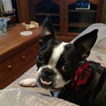 Profile Picture of Jim Cottrell (@jim1vicki) on Instagram