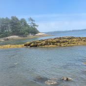 Profile Picture of Amanda Robison (@spikelover5107) on Youtube