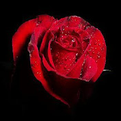 John Imo - Youtube Profile Picture of John Imo (@johnngozi5237) on Youtube