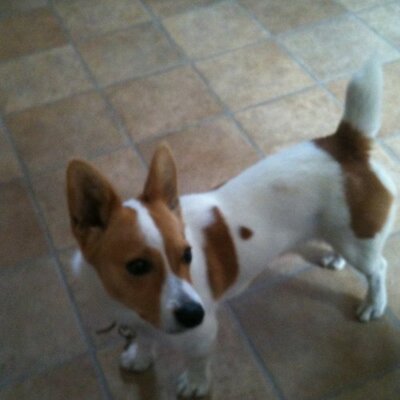 Profile Picture of Jillian Doran (@almost40feel30) on Twitter