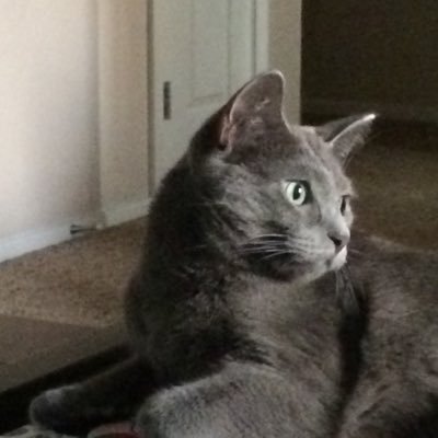 Profile Picture of Matthew Hinojosa (@Hinovation) on Twitter