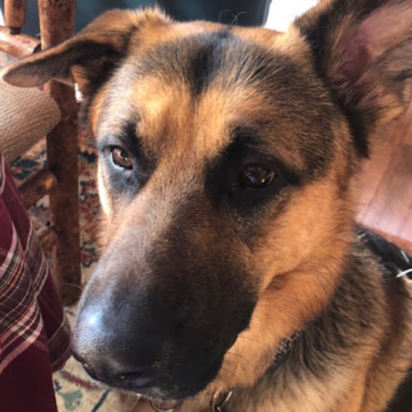 Profile Picture of Steven Krogstad (@skml5655) on Poshmark