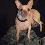 Profile Picture of Kenneth A Ludwig (@kennethaludwig) on Instagram