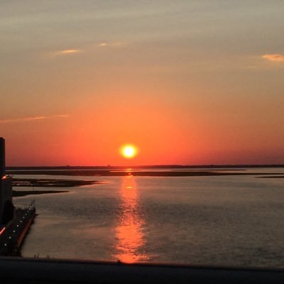 Profile Picture of Lynn Bradley (@ljbpt) on Twitter