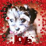 Profile Picture of Louise Fielding (@louise.fielding.524) on Instagram