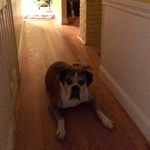 Profile Picture of Kyle Ledford (@kyle_l_82) on Instagram