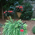 Profile Picture of Wanda Allsbrook Ramey (@wanda.a.ramey) on Instagram