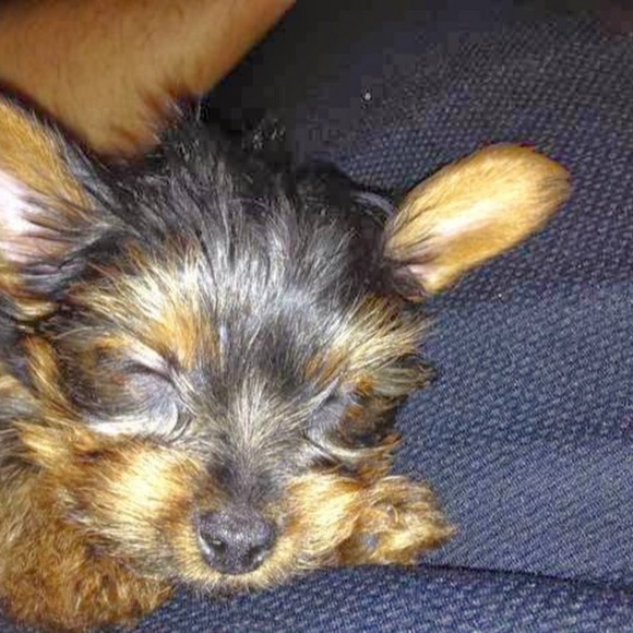 Profile Picture of R Gonzalez (@rgonzalez725) on Poshmark