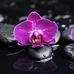 Profile Picture of Laura Lampert (@laura.lampert.754) on Facebook
