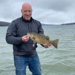 Profile Picture of David Poltorak (@davidxr800) on Instagram