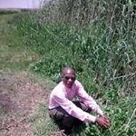 Profile Picture of Bennie Barber (@barber.bennie) on Instagram