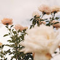 Profile Picture of Jordan Mceachern (@jordan-mceachern-7) on Quora