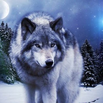 Profile Picture of Jenna Wade (@jennawade22) on Twitter