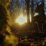 Profile Picture of Crystal Raymond (@pics_by_crystal) on Instagram