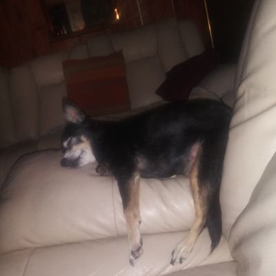 Profile Picture of Bo Osborne (@BoOsborne9) on Twitter