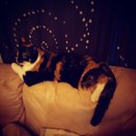 Profile Picture of Melvina plaud (@plaudmelvina) on Instagram