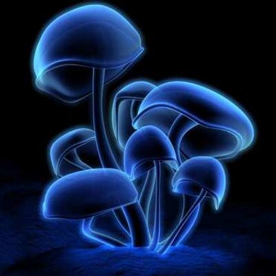 Profile Picture of Andrès Varela Londoñ (@@andy_var) on Twitter