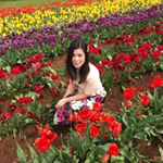 Profile Picture of Tam Vuong (@mytamvuong) on Instagram