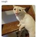 Profile Picture of James Postlethwaite (@jamesposs16) on Pinterest