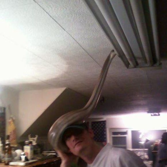 Profile Picture of Gary Chiodetti (@gchio81) on Poshmark