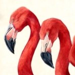 Profile Picture of BING XU (@bingxu_collection) on Instagram