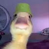 Profile Picture of 💫 WOO 💫 (@jayonfah) on Tiktok