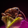 Profile Picture of Hani Alheraki (@hani.al.heraki) on Flickr