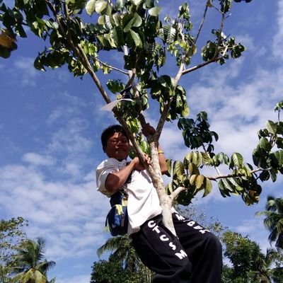 Profile Picture of Lumad School CTCSM (@BatangAnakpawis) on Twitter